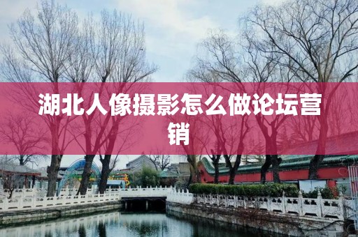 湖北人像摄影怎么做论坛营销