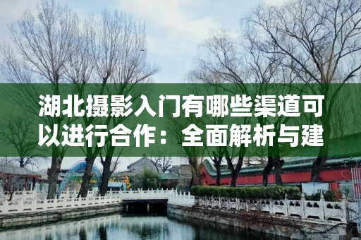 湖北摄影入门有哪些渠道可以进行合作：全面解析与建议