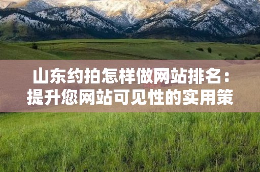 山东约拍怎样做网站排名：提升您网站可见性的实用策略