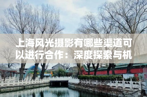 上海风光摄影有哪些渠道可以进行合作：深度探索与机会