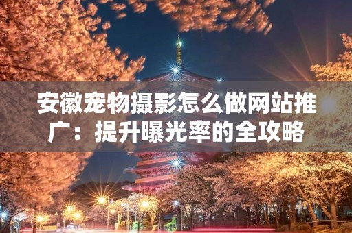 安徽宠物摄影怎么做网站推广：提升曝光率的全攻略