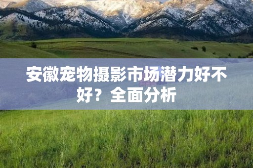 安徽宠物摄影市场潜力好不好？全面分析