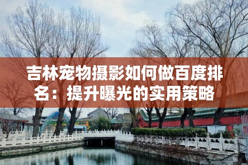 吉林宠物摄影如何做百度排名：提升曝光的实用策略