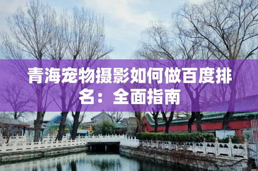 青海宠物摄影如何做百度排名：全面指南