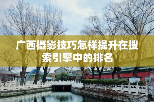 广西摄影技巧怎样提升在搜索引擎中的排名