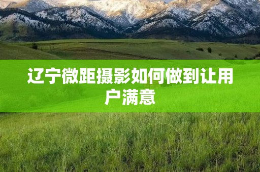辽宁微距摄影如何做到让用户满意