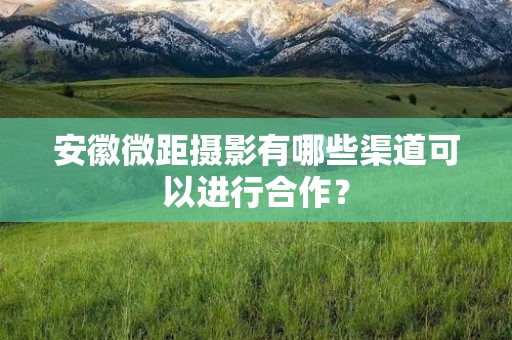 安徽微距摄影有哪些渠道可以进行合作？