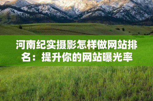 河南纪实摄影怎样做网站排名：提升你的网站曝光率