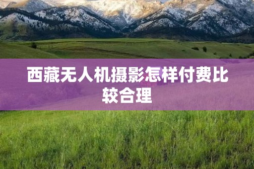 西藏无人机摄影怎样付费比较合理