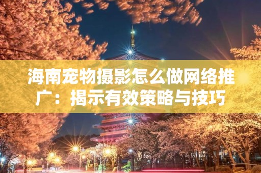 海南宠物摄影怎么做网络推广：揭示有效策略与技巧
