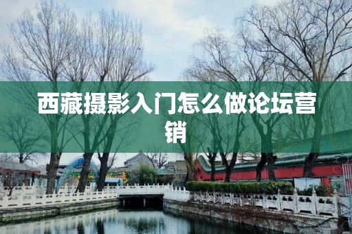西藏摄影入门怎么做论坛营销