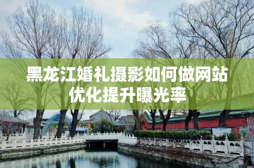 黑龙江婚礼摄影如何做网站优化提升曝光率