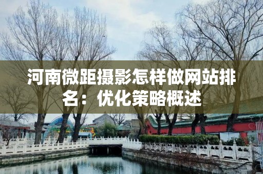 河南微距摄影怎样做网站排名：优化策略概述