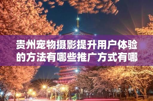 贵州宠物摄影提升用户体验的方法有哪些推广方式有哪些