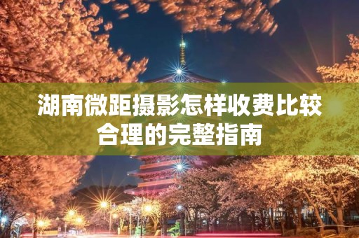 湖南微距摄影怎样收费比较合理的完整指南