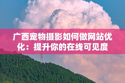 广西宠物摄影如何做网站优化：提升你的在线可见度