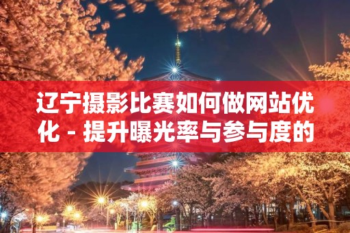 辽宁摄影比赛如何做网站优化 - 提升曝光率与参与度的策略
