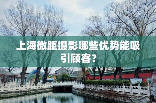 上海微距摄影哪些优势能吸引顾客？