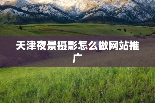 天津夜景摄影怎么做网站推广