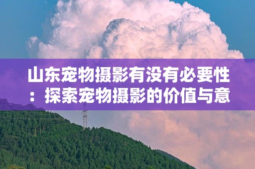 山东宠物摄影有没有必要性：探索宠物摄影的价值与意义