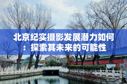 北京纪实摄影发展潜力如何：探索其未来的可能性