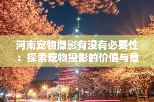 河南宠物摄影有没有必要性：探索宠物摄影的价值与意义
