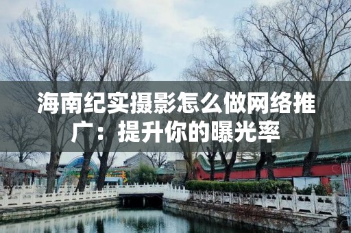海南纪实摄影怎么做网络推广：提升你的曝光率