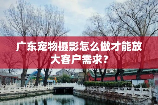 广东宠物摄影怎么做才能放大客户需求？
