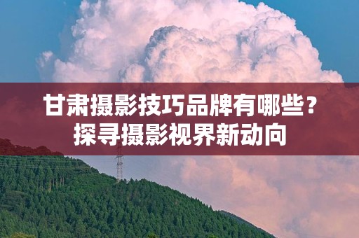 甘肃摄影技巧品牌有哪些？探寻摄影视界新动向