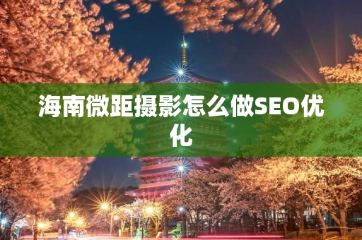 海南微距摄影怎么做SEO优化
