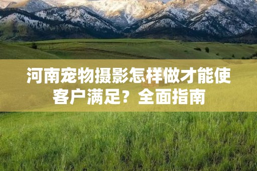 河南宠物摄影怎样做才能使客户满足？全面指南