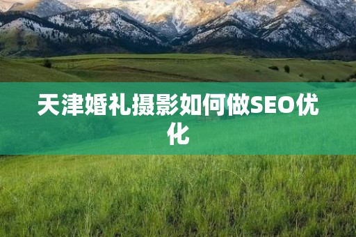 天津婚礼摄影如何做SEO优化