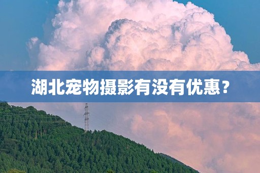 湖北宠物摄影有没有优惠？