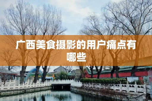 广西美食摄影的用户痛点有哪些