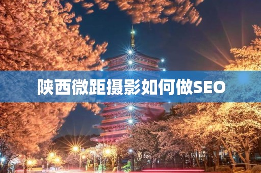 陕西微距摄影如何做SEO