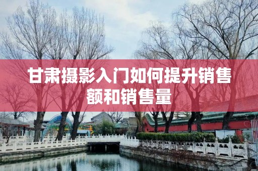 甘肃摄影入门如何提升销售额和销售量