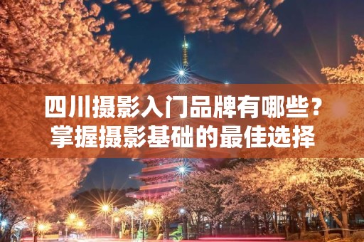 四川摄影入门品牌有哪些？掌握摄影基础的最佳选择
