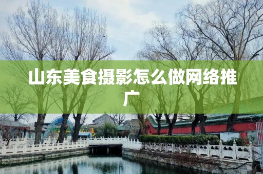 山东美食摄影怎么做网络推广