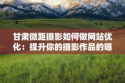 甘肃微距摄影如何做网站优化：提升你的摄影作品的曝光度