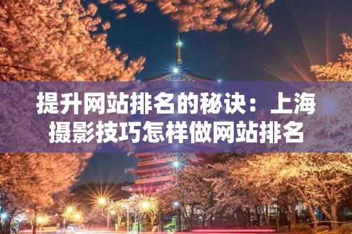提升网站排名的秘诀：上海摄影技巧怎样做网站排名