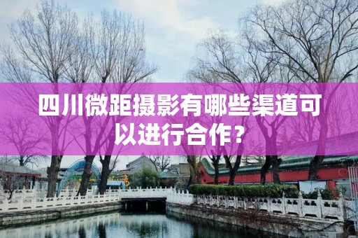 四川微距摄影有哪些渠道可以进行合作？