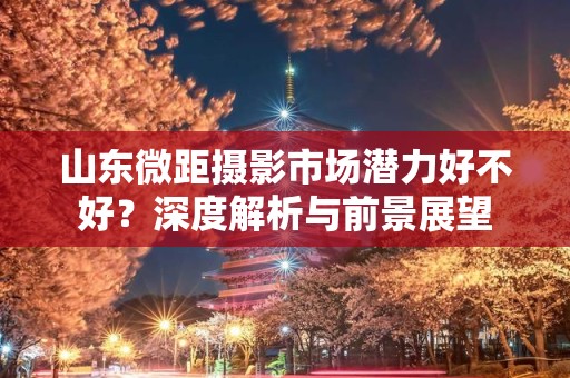 山东微距摄影市场潜力好不好？深度解析与前景展望