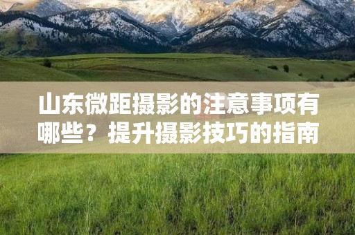 山东微距摄影的注意事项有哪些？提升摄影技巧的指南