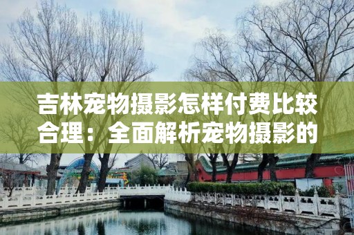 吉林宠物摄影怎样付费比较合理：全面解析宠物摄影的定价策略