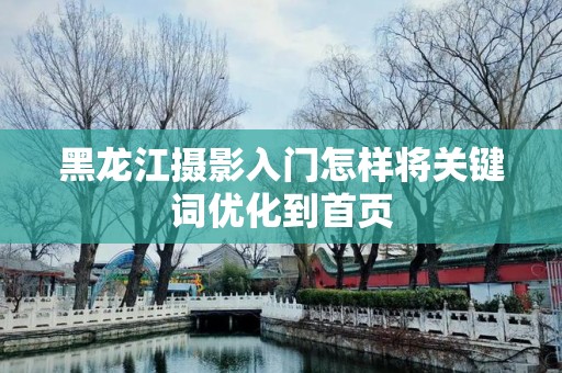 黑龙江摄影入门怎样将关键词优化到首页