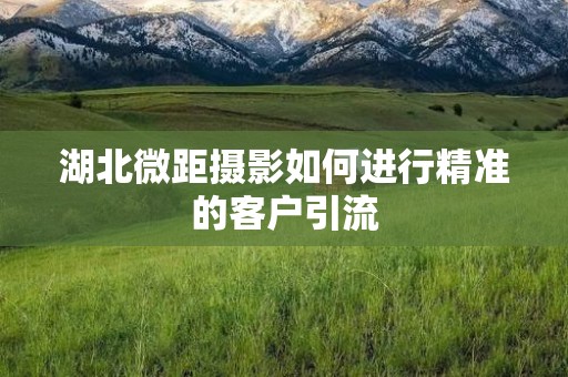 湖北微距摄影如何进行精准的客户引流
