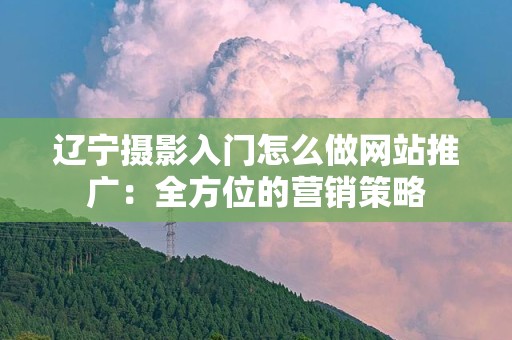 辽宁摄影入门怎么做网站推广：全方位的营销策略
