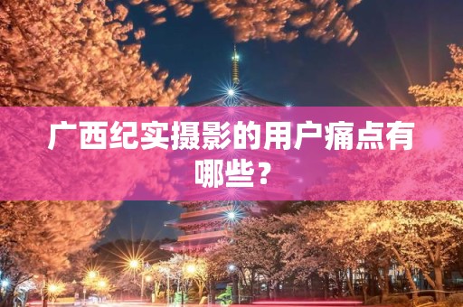 广西纪实摄影的用户痛点有哪些？
