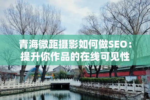 青海微距摄影如何做SEO：提升你作品的在线可见性