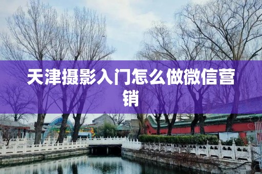天津摄影入门怎么做微信营销